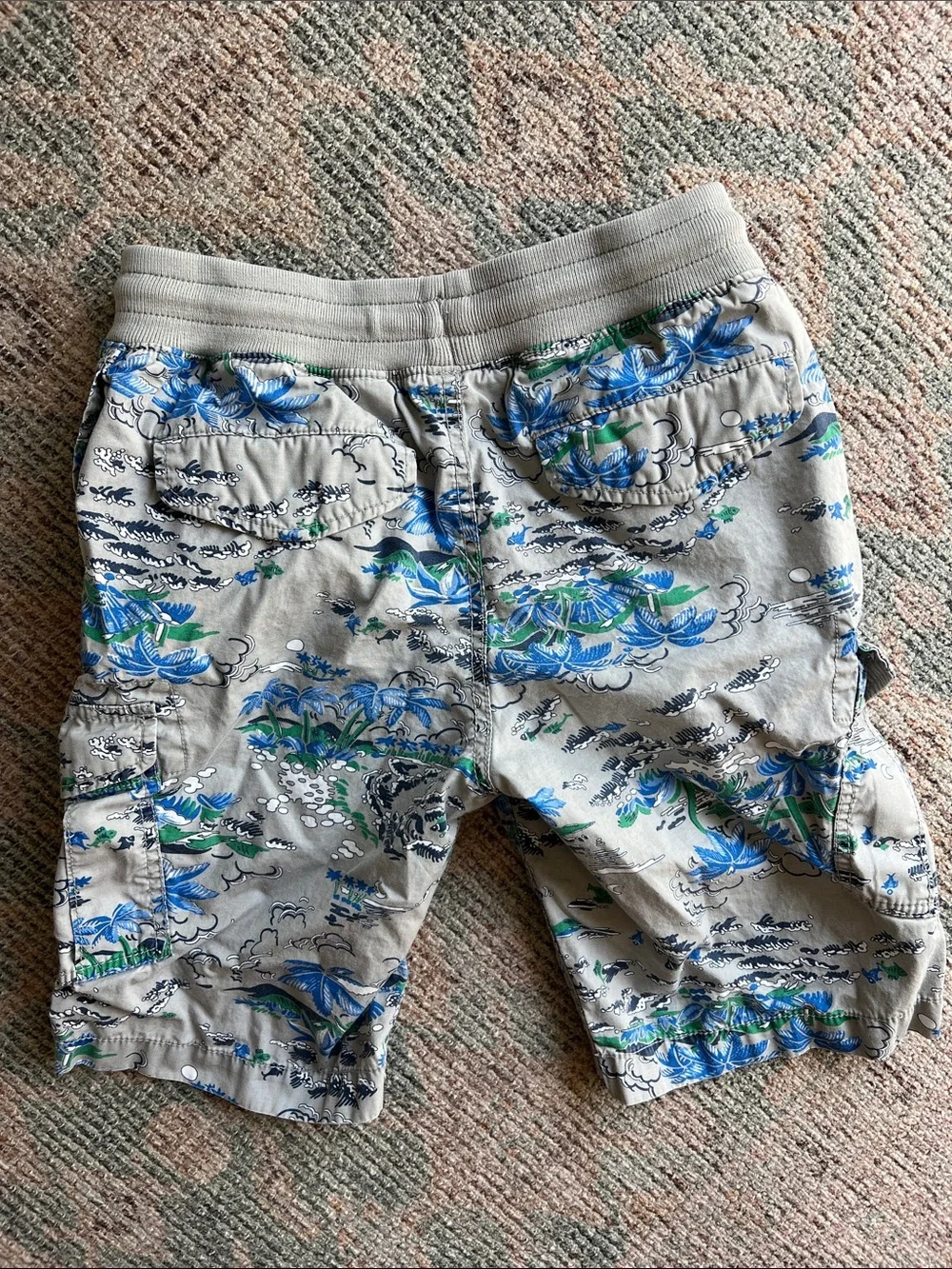 GAP Boy’s Cargo Shorts - Gray with Blue & Green